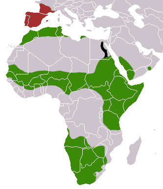 Common Genet Distribution